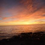 cambria_428 (November 03, 2018)